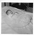 Anita Goeke 1 week old